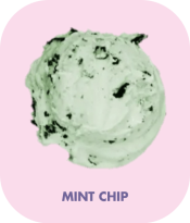 MINT CHIP